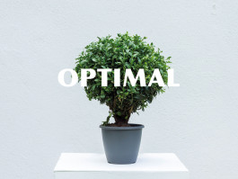 Designed by Fbg students