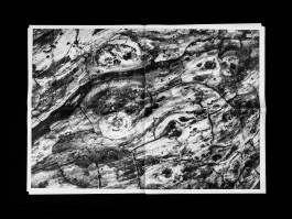 Designed by Fbg students