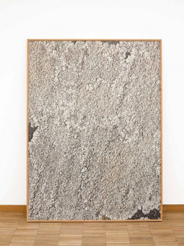 Designed by Fbg students