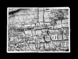 Designed by Fbg students