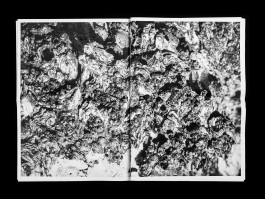 Designed by Fbg students