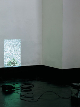 Designed by Fbg students