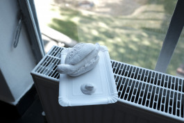 Designed by Fbg students