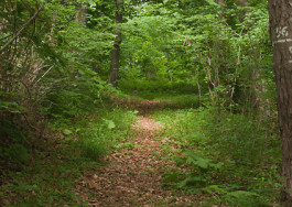 Designed by Fbg students