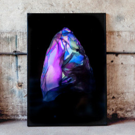 Designed by Fbg students