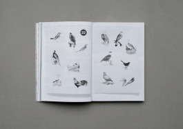 Designed by Fbg students