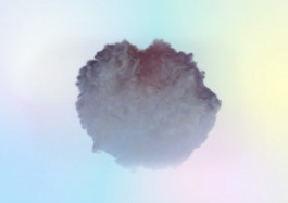 Designed by Fbg students