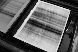 Designed by Fbg students