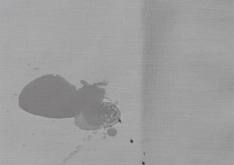 Designed by Fbg students