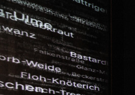 Designed by Fbg students