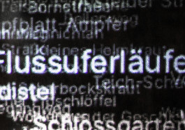 Designed by Fbg students