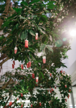 Designed by Fbg students