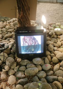 Designed by Fbg students