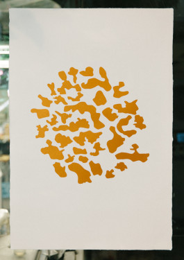 Designed by Fbg students