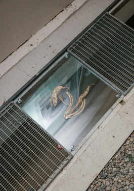 Designed by Fbg students