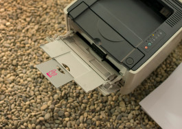 Designed by Fbg students