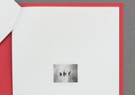 Designed by Fbg students