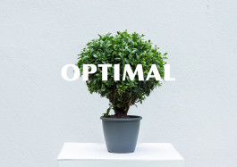 Designed by Fbg students