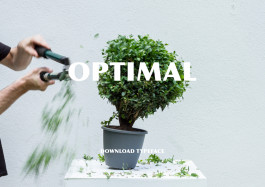 Designed by Fbg students