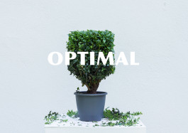 Designed by Fbg students