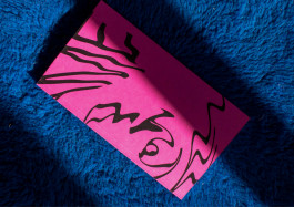 Designed by Fbg students