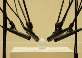 Designed by Fbg students