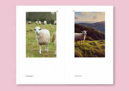 Designed by Fbg students