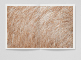 Designed by Fbg students