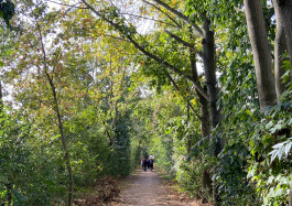 Designed by Fbg students