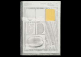 Designed by Fbg students