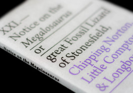 Designed by Fbg students