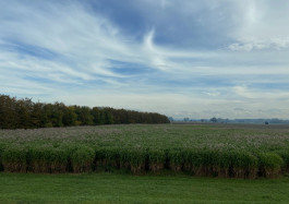 Designed by Fbg students