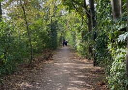 Designed by Fbg students