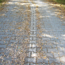 Designed by Fbg students