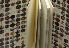 Designed by Fbg students