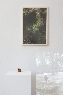 Designed by Fbg students