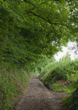 Designed by Fbg students