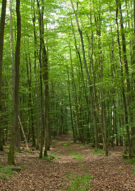 Designed by Fbg students