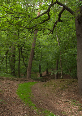 Designed by Fbg students