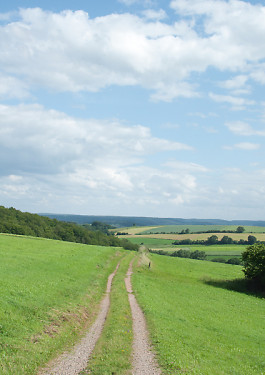 Designed by Fbg students