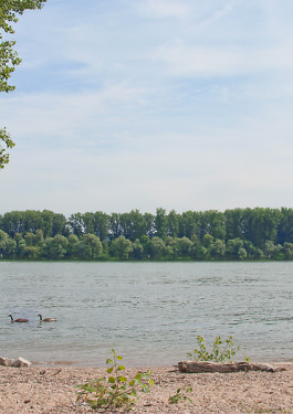 Designed by Fbg students