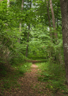 Designed by Fbg students