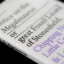 Designed by Fbg students