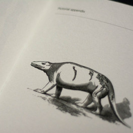 Designed by Fbg students