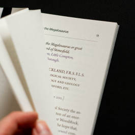 Designed by Fbg students