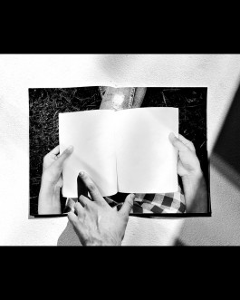 Designed by Fbg students