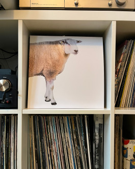 Designed by Fbg students